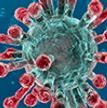 News-coronavirus-thumbnail.jpg