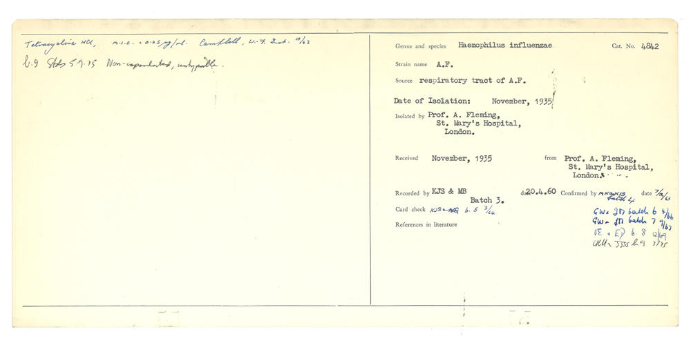 NCTC 4842 Haemophilus influenzae was isolated and deposited into the NCTC by Sir Alexander Fleming in November 1935.