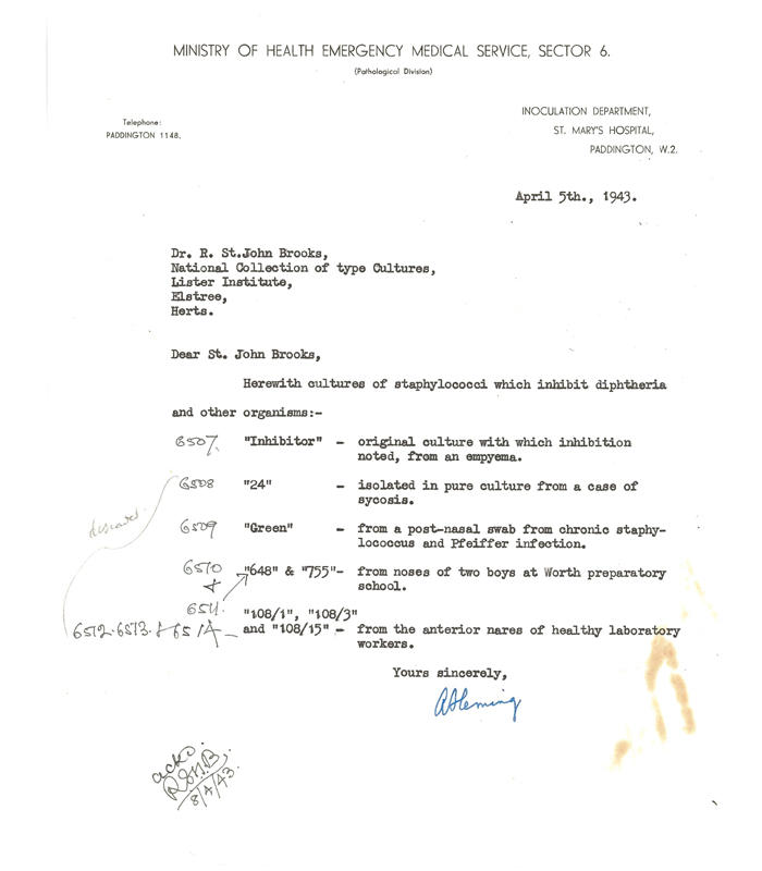 Letter regarding the deposit of 8 strains of staphylococci, dated April 5th 1943.